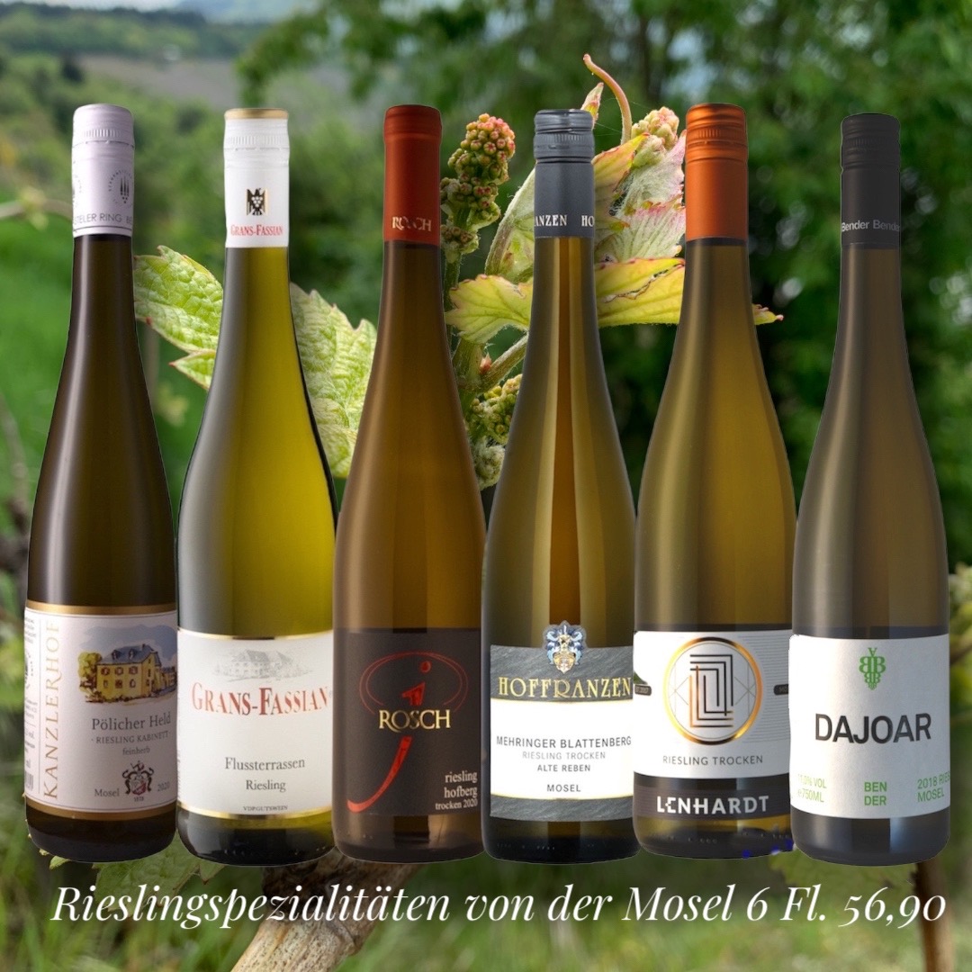 Rieslingspezialitäten von der Mosel 6 x 0,75L